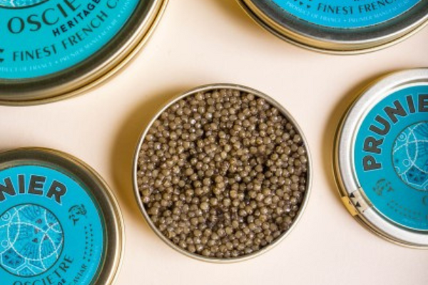 [Translate to Anglais:] 